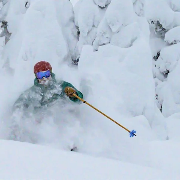 Booyah! Bamboo Ski Poles