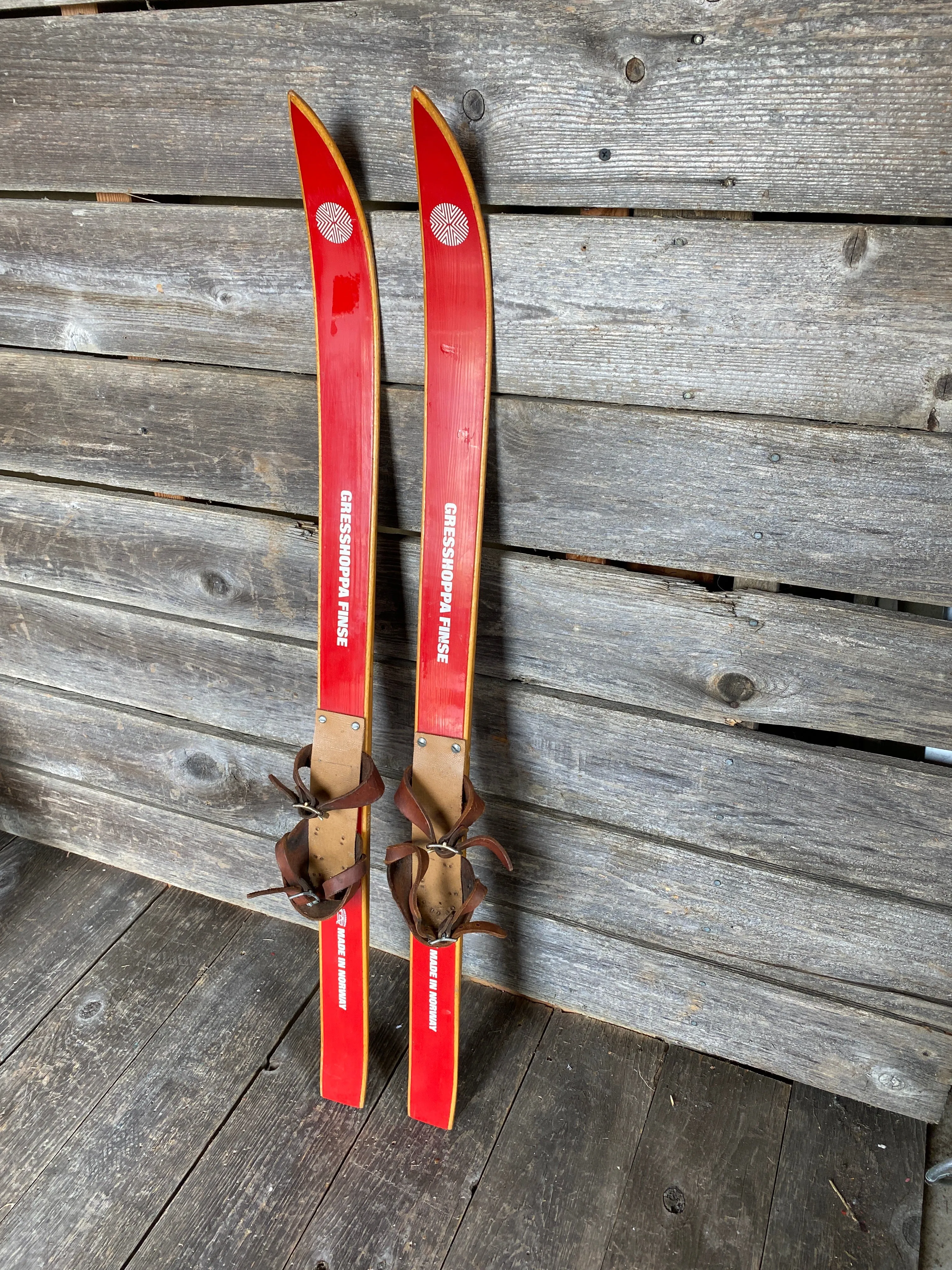 Norwegian Gresshoppa Childs Skis