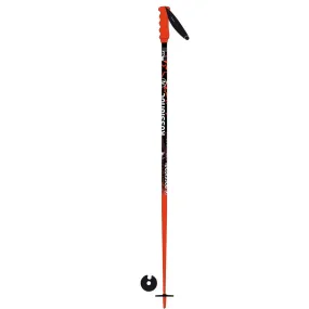 Poles Rossignol Hero SL JR